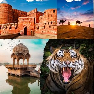 Golden Triangle Tour with Tiger Safari